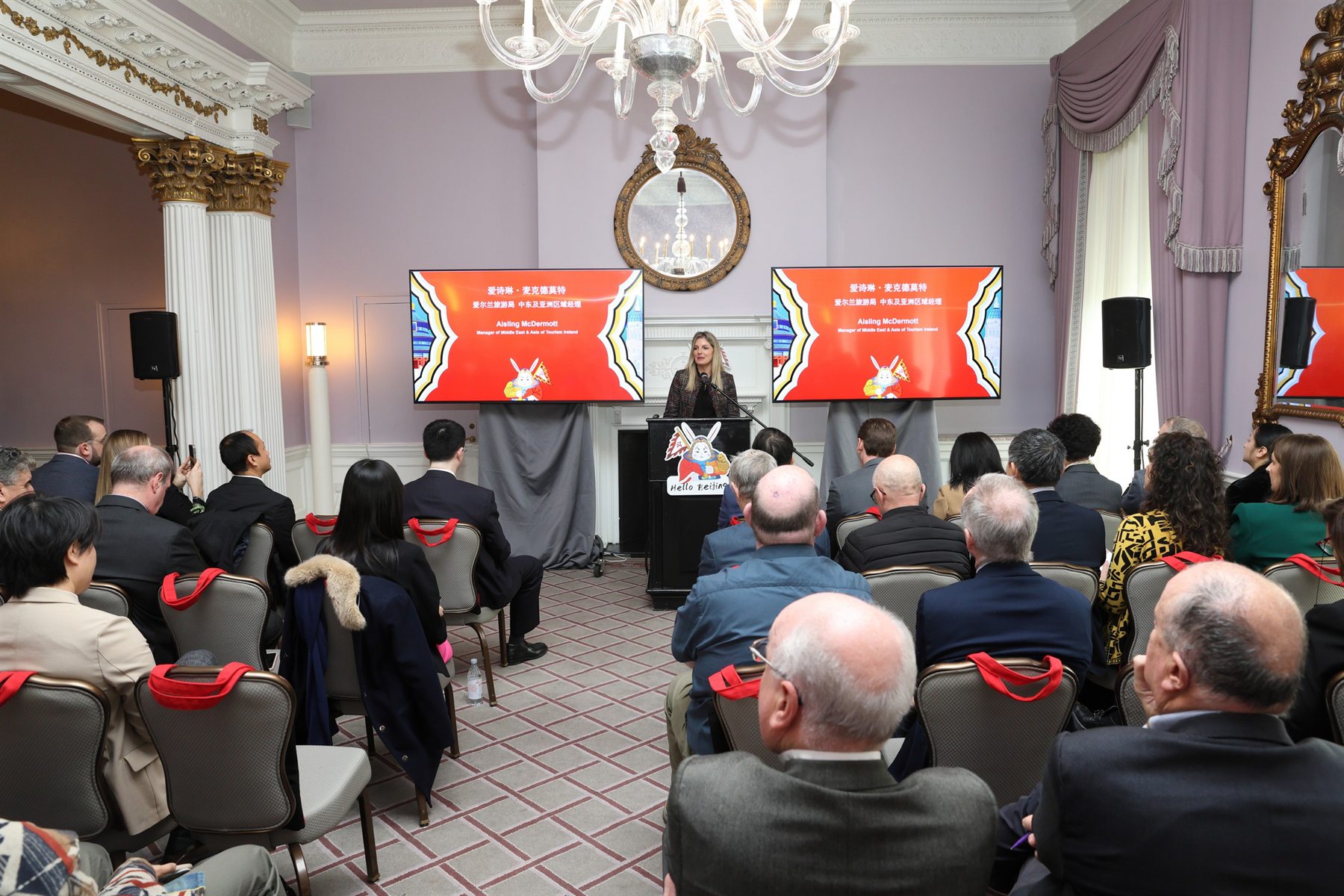 Speaker addressing guests at the Hello Beijing event in Dublin