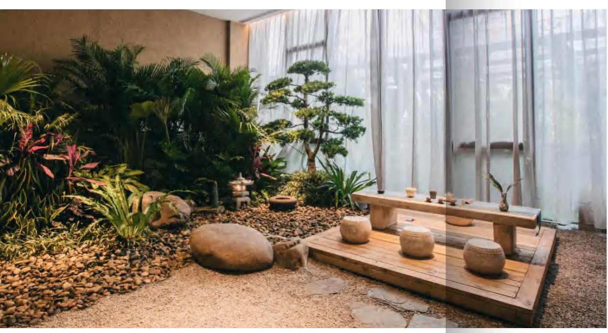 Quiet indoor garden-style wellness setting in Hainan