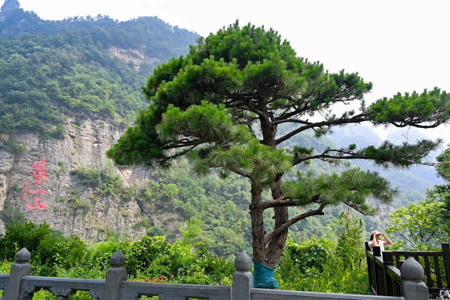 湖北武当山 FAM Trip 与国际旅游推广案例