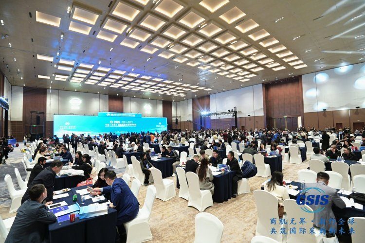 Sino-Irish partner facilitation and industry dialogue
